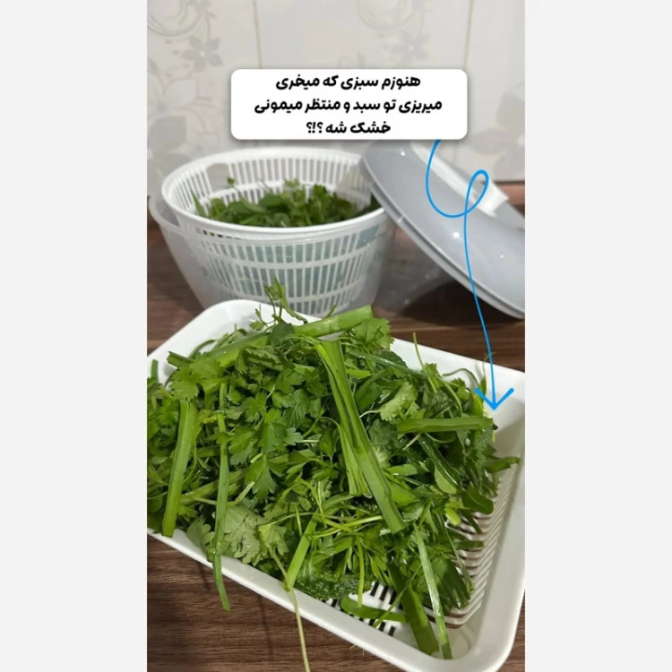 آبگیر سبزیجات