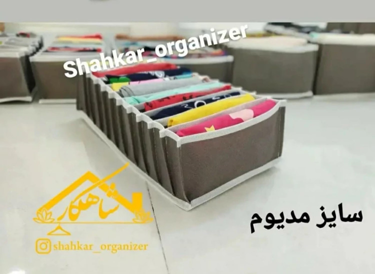 نظم دهنده مدیوم