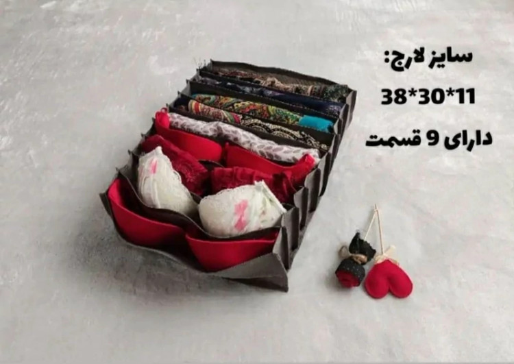 نظم دهنده لارج