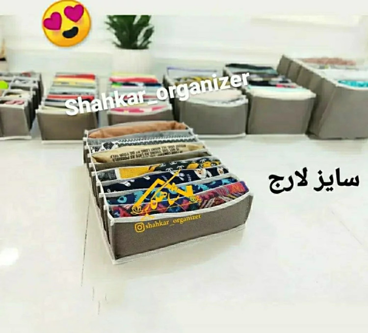 نظم دهنده لارج