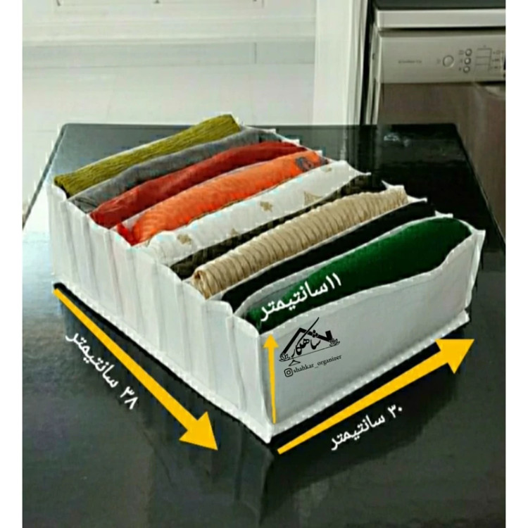 نظم دهنده لارج